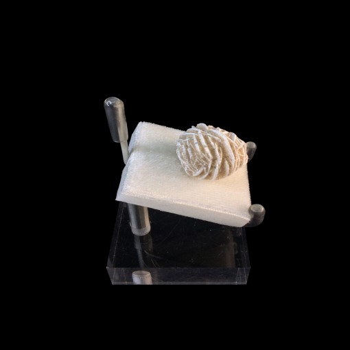product/details