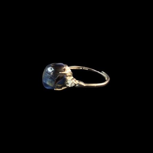 product/details