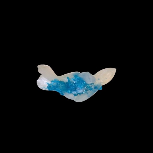 product/details