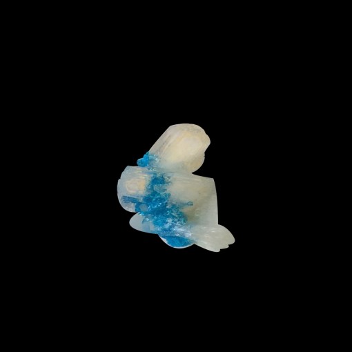 product/details
