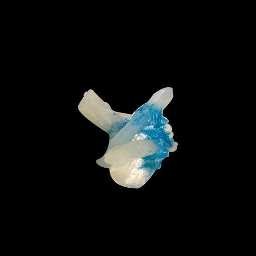 product/details